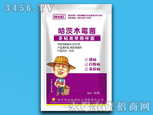 30g����ľù��+��ճ��ѿ�߸˾�-��ү��-���ⴺ��