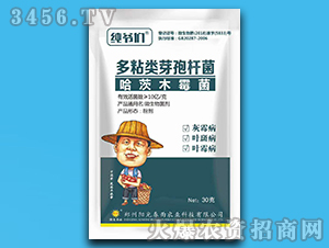 30g΢�������-��ү��-���ⴺ��