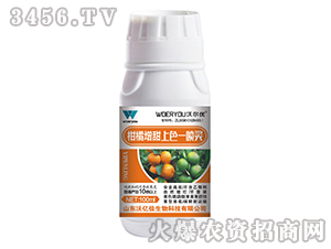 500ml����������ɫһ����-�ֶ���
