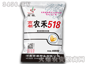 ũ��518-�����ӽ���-�̶���ҵ