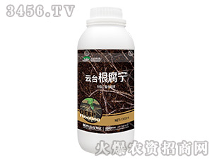 ��̨������-��̨��