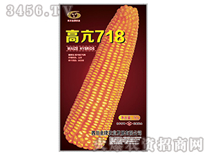 �߿�718-��������-����ũҵ