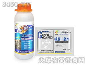 ����һ�龻+����һ����-����