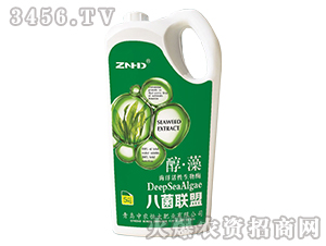 5kg������-�˾�����-��ũ���