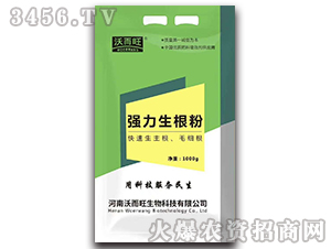 ǿ�������ۣ�1000g��-�ֶ���