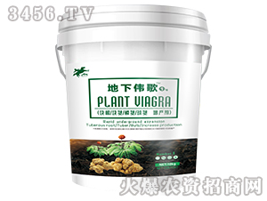 ���¿龥������-����ΰ��1��-����������Դ