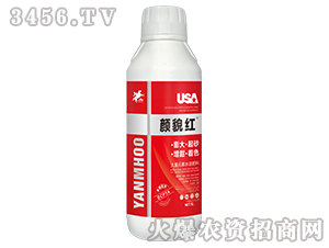 1L����Ԫ��ˮ�ܷ���-��ò��-����������Դ