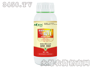120g���ļء�һ���-������