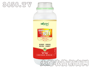 1200g���ļء�һ���-������