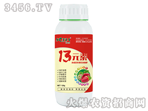 120g13Ԫ��-������