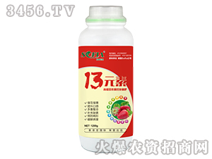 1200g13Ԫ��-������