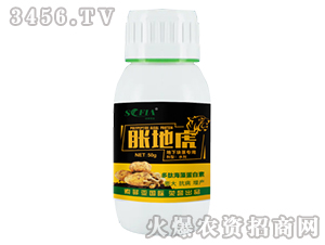 ���¿龥ר�÷�-�͵ػ�-������