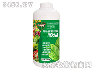 1000g��Ҷ�����ø�һ����-��ʩ��-�Ϳ���