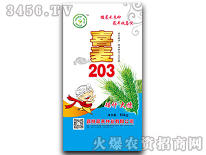 ϲ��203-С������-������ҵ
