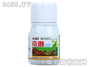 60g����̼���������-�漤-������