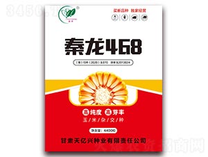 ����468-��������-��Ԫ��ҵ