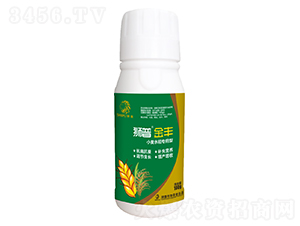 С��ˮ��ר����Ҷ���-ʨ�ս��