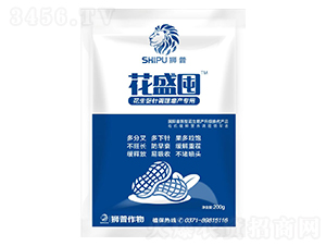 200g���������������ר��Ҷ���-��ʢ��-ʨ��