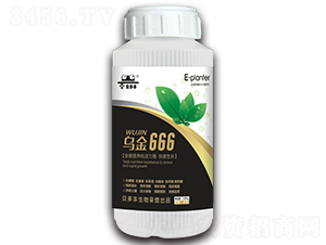 �ڽ�666-�����