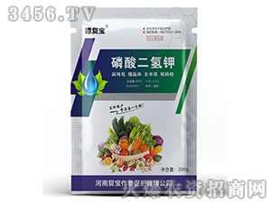 200g��������-̷����-��������