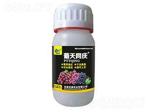 ���Ѵߺ�ʡ�200ml��-����ͬ��-����ʵҵ