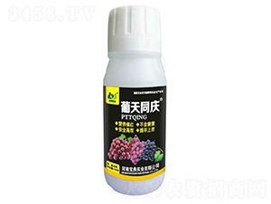 ���Ѵߺ�ʡ�100ml��-����ͬ��-����ʵҵ