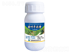 ��л�Ҷ�ɼ⾻��30ml��-����ʵҵ