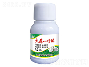 ����һ���̡�50ml��-����ʵҵ