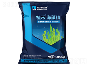 ���徫-ֲ��-���̩
