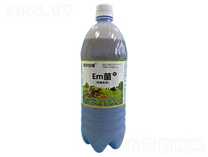 Em������ֲר�ã�-������˹-������