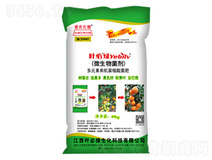 40kg΢�������-Ҷ����