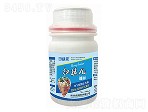 �캢��-������-�����