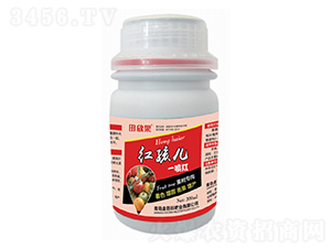 �캢��һ���-������-�����