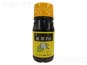 ��ֲ��Ҷ���-����Pro-��ɫ��̬