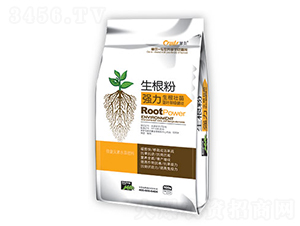 ������-���-��������
