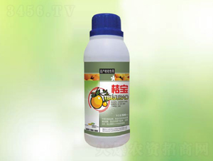 �۱���500g��-���-��������