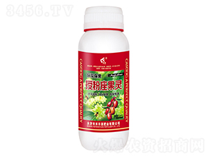 500ml���������ڷ�������-�̷�Դ