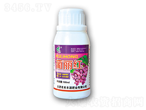 100ml������-�̷�Դ