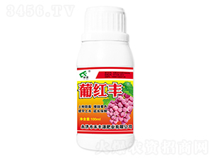 100ml�Ϻ��-�̷�Դ