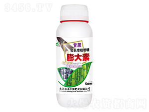 500ml���������������������-�̷�Դ