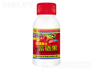 200ml������-�̷�Դ