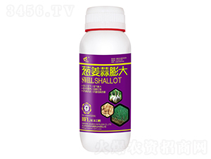 500g�н������-�̷�Դ