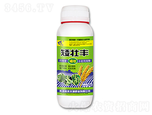 500ml��׳��-�̷�Դ