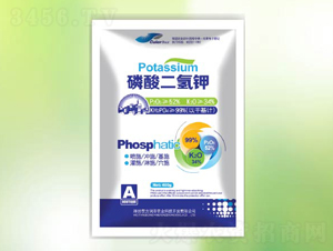 �������ء�400g��-���-��������