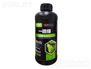 ø���㵰��-һ����-�������