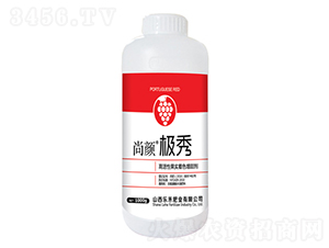 1000g�߻��Թ�ʵ��ɫ�����-���ռ���-�̷ֺ�ҵ