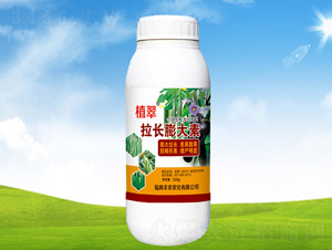 ���������-ֲ��-��ũũ��