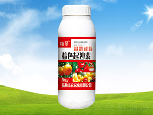��ɫ��ɳ��-ֲ��-��ũũ��
