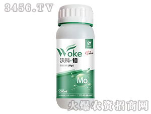 1000ml�ֿơ���-������