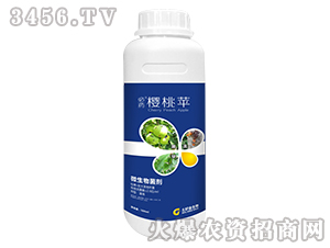 500ml΢�������-��ҩӣ��ƻ-���ý�